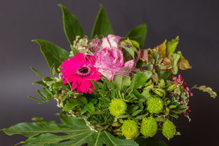 从花园到花束 花卉产业的美丽绽放