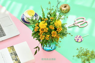 花影入镜——探索长沙花卉静物摄影的艺术与技巧