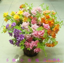 胡艳红鲜花产品系列 花卉精选指南